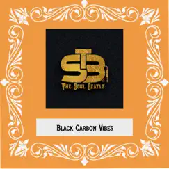 Black Carbon Vibes (Instrumental) by The Soul Beataz album reviews, ratings, credits