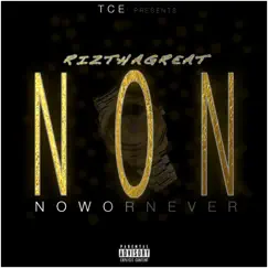 Now or Never by Riz tha Great album reviews, ratings, credits
