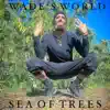 Sea of Trees - Single album lyrics, reviews, download