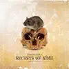 Secrets of Nimh - Single album lyrics, reviews, download