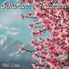 Schumann - Traumerei Song Lyrics