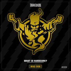 What Is Hardcore? - Single by DJ Mad Dog album reviews, ratings, credits