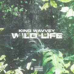 Wild Life - Single by King cadz album reviews, ratings, credits