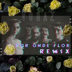 Por Onde Flor (Remix) Song Lyrics