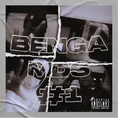 MDS #1 (Freestyle) - Single by Benga album reviews, ratings, credits