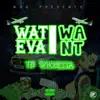 Wateva I Want - Single album lyrics, reviews, download