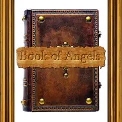 Book of Angels (Acoustic) by Indie Soull album reviews, ratings, credits