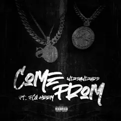 Come From (feat. FCG Heem) - Single by WizDaWizard album reviews, ratings, credits