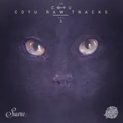 Coyu Raw Tracks, Vol. 3 - Single by Coyu album reviews, ratings, credits