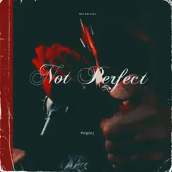 Not Perfect - Single by Peiplez album reviews, ratings, credits