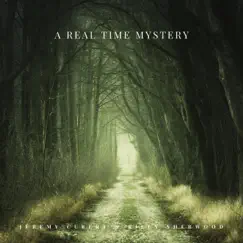 A Real Time Mystery (feat. Billy Sherwood) - Single by Jeremy Cubert album reviews, ratings, credits