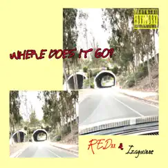 Where Does It Go? (feat. Izaguirre) - Single by Redxx album reviews, ratings, credits