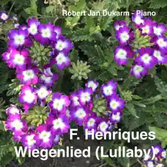F. Henriques: Wiegenlied (Lullaby) - Single by Robert Jan Dukarm album reviews, ratings, credits