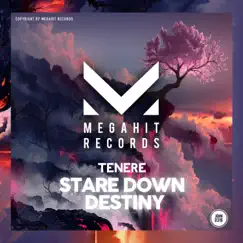 Stare Down Destiny (Extended Mix) - Single by Ténéré album reviews, ratings, credits