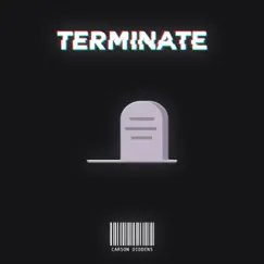 Terminate (feat. Anna Erving) Song Lyrics