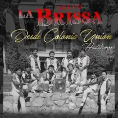 Desde Colonia Unión Huatabampo by La Brissa album reviews, ratings, credits