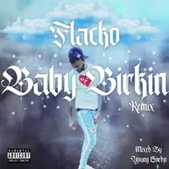 Baby Birkin Remix (Remix) - Single by Flack0 album reviews, ratings, credits