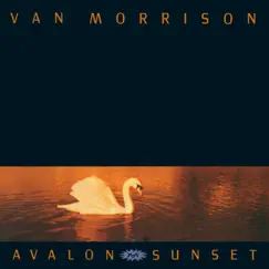 Avalon Sunset by Van Morrison album reviews, ratings, credits