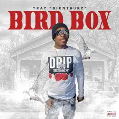 Bird Box - Single by Tray “Bienthurz” album reviews, ratings, credits