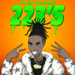 223's (feat. 9lokknine) - Single by YNW Melly album reviews, ratings, credits