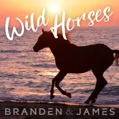 Wild Horses - Single by Branden & James album reviews, ratings, credits