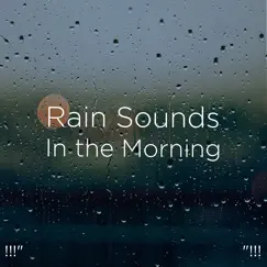 Soothing Rain for Crying Babies Song Lyrics