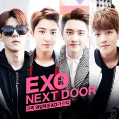 EXO NEXT DOOR (Original Television Soundtrack) - Single by BAEKHYUN & Jamong album reviews, ratings, credits