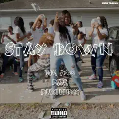 Stay Down - Single by BIG MO album reviews, ratings, credits