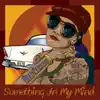 Something in My Mind - Single album lyrics, reviews, download