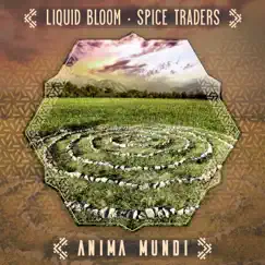 Anima Mundi (Twin Shape Remix) Song Lyrics