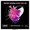 Never Gonna Give You Up (feat. Facu Celasco) - Single album lyrics, reviews, download