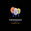 Kwonkoso (feat. DJ Maphorisa & DJ Buckz) - Single album lyrics, reviews, download