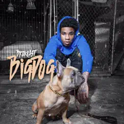 Big Dog - Single by Brokeasf album reviews, ratings, credits