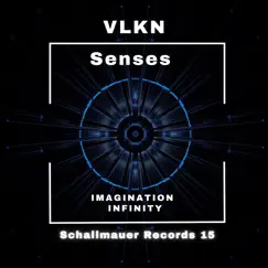 Senses - Single by VLKN album reviews, ratings, credits