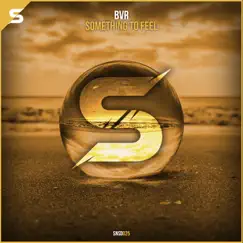 Something to Feel - Single by BVR album reviews, ratings, credits