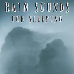 Rain For Sleeping Song Lyrics