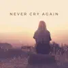 Never Cry Again (Remixes) album lyrics, reviews, download