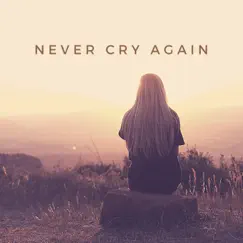 Never Cry Again (Remixes) by Dash Berlin album reviews, ratings, credits