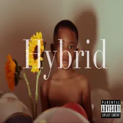 Hybrid by The DopeyHopi album reviews, ratings, credits