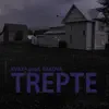 Trepte - Single album lyrics, reviews, download