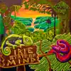 Irie State of Mind album lyrics, reviews, download