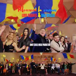 Petrecerea La Romani - Single by Luis Gabriel & Vali Vijelie album reviews, ratings, credits