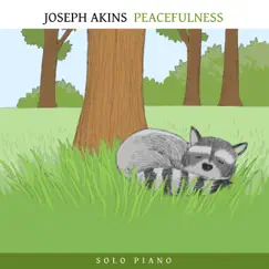 Peacefulness Song Lyrics