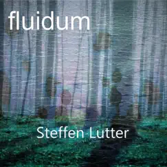 Fluidum - EP by Steffen Lutter album reviews, ratings, credits