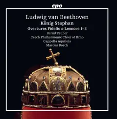 König Stephan, Op. 117: Seid mir gegrüsst Song Lyrics
