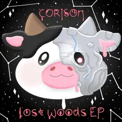 Lost Woods Song Lyrics