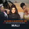 Mali - Single (feat. Candy Floss, Mash K & Big Ropza) - Single album lyrics, reviews, download