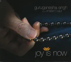 Joy Is Now by GuruGanesha Singh & Snatam Kaur album reviews, ratings, credits