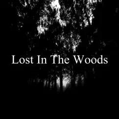 Lost in the Woods by The Bapor Beats, Danyel Beats & Molife album reviews, ratings, credits