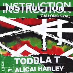 Instruction (Gallong Gyal) [feat. Alicai Harley] - Single by Toddla T album reviews, ratings, credits